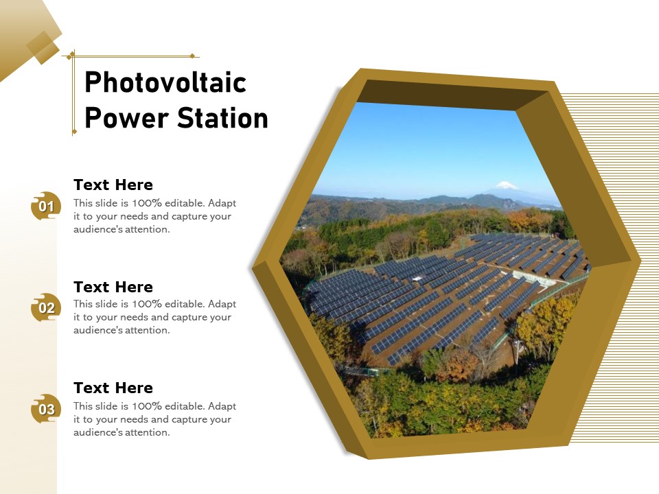 Photovoltaic Power Station Ppt PowerPoint Presentation Icon Inspiration PDF