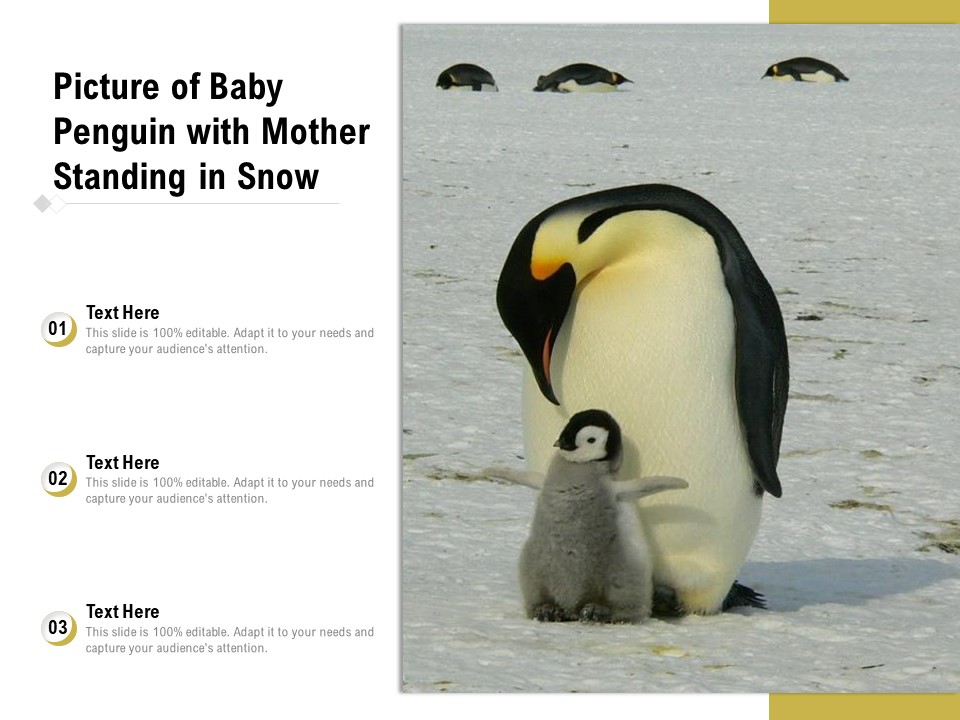 Picture Of Baby Penguin With Mother Standing In Snow Ppt PowerPoint Presentation File Show PDF