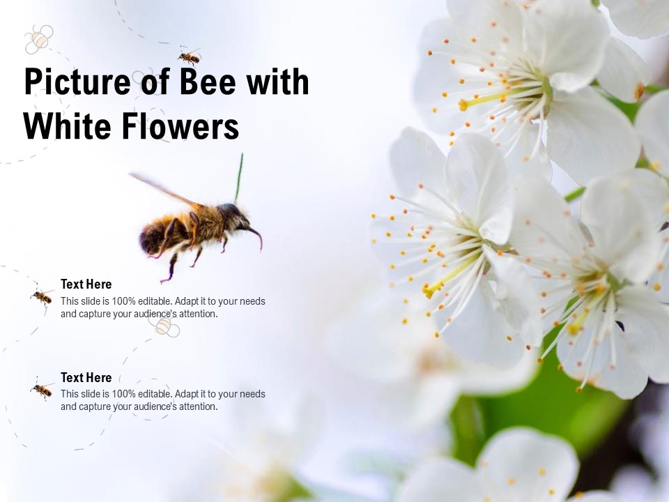 Picture Of Bee With White Flowers Ppt PowerPoint Presentation Show Smartart PDF