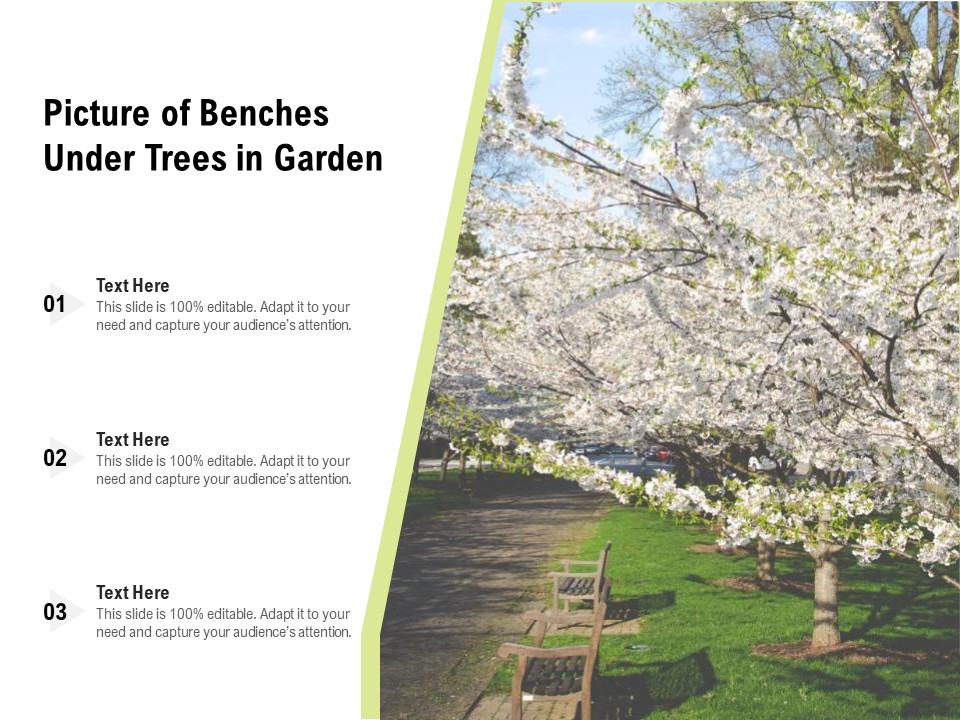 Picture Of Benches Under Trees In Garden Ppt PowerPoint Presentation File Example Introduction PDF