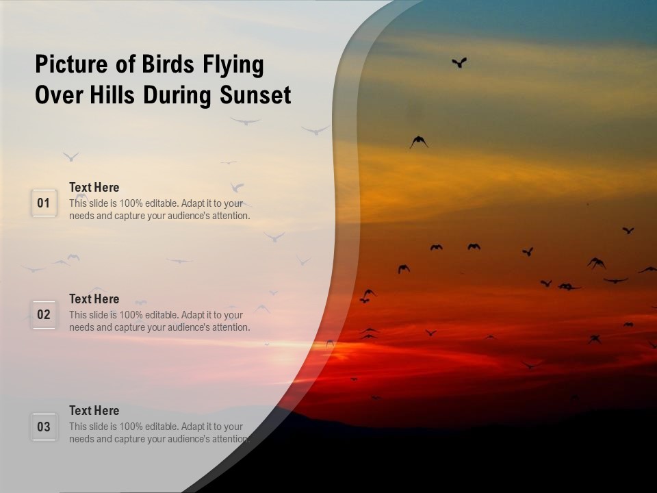 Picture Of Birds Flying Over Hills During Sunset Ppt PowerPoint Presentation Gallery Slide Download PDF