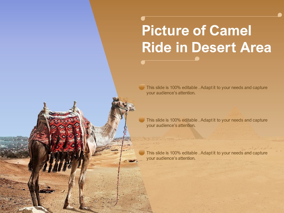 Picture Of Camel Ride In Desert Area Ppt PowerPoint Presentation Layouts Smartart PDF