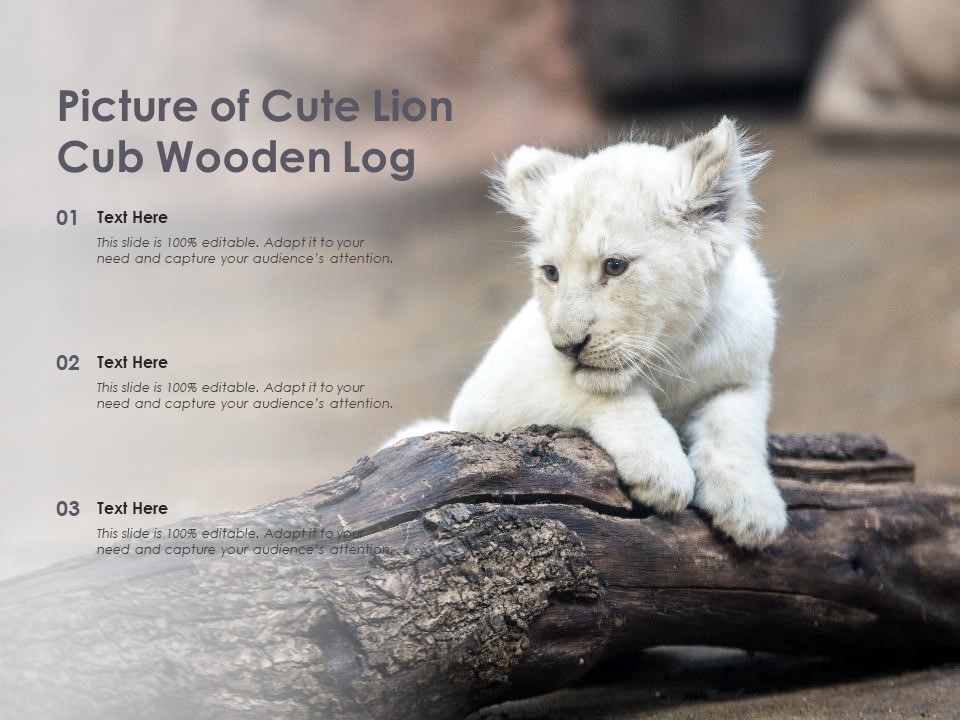 Picture Of Cute Lion Cub Wooden Log Ppt PowerPoint Presentation Model Show PDF