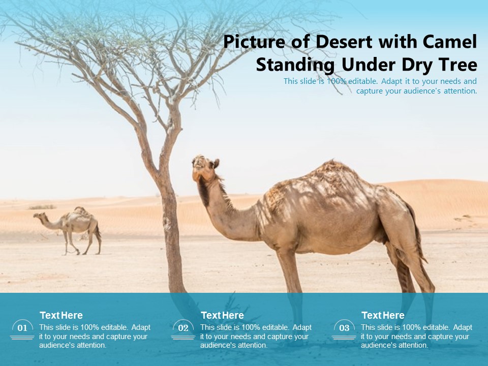 Picture Of Desert With Camel Standing Under Dry Tree Ppt PowerPoint Presentation Gallery Summary PDF