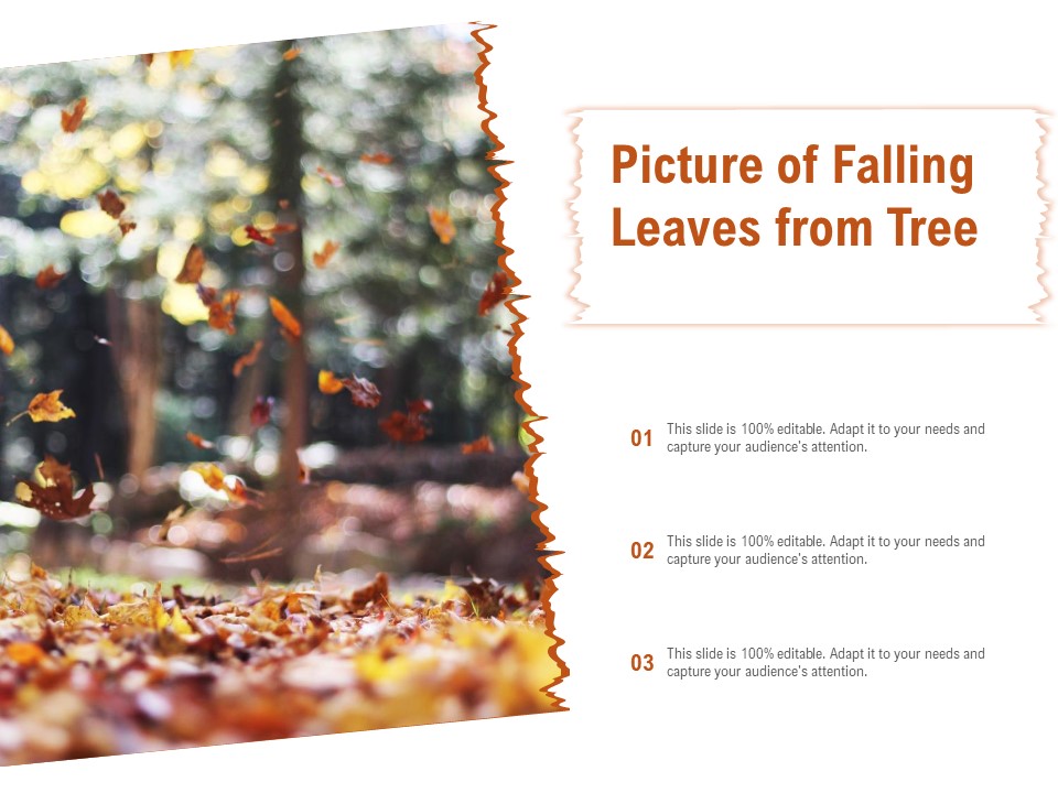 Picture Of Falling Leaves From Tree Ppt PowerPoint Presentation Ideas Samples
