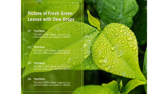 Picture Of Fresh Green Leaves With Dew Drops Ppt PowerPoint Presentation Layouts Deck PDF