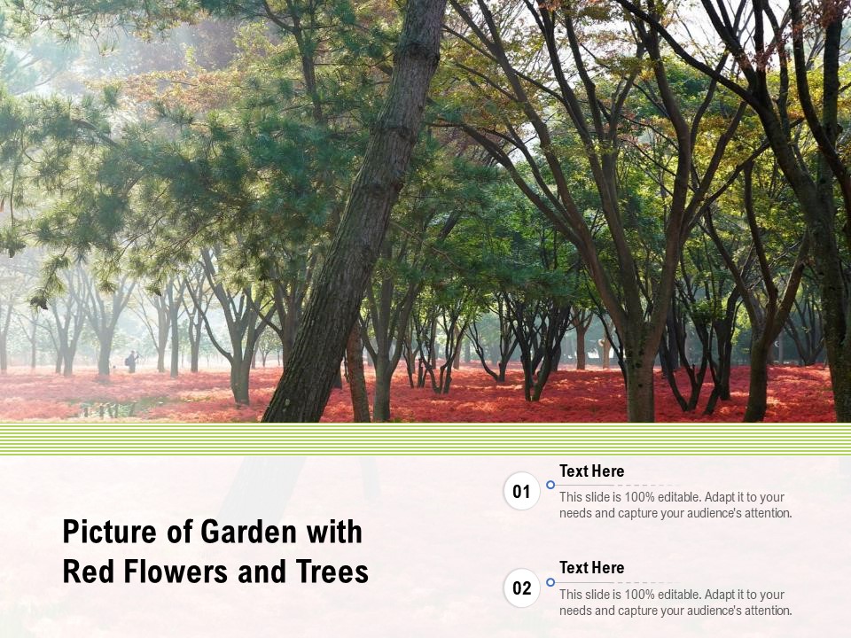 Picture Of Garden With Red Flowers And Trees Ppt PowerPoint Presentation File Example PDF
