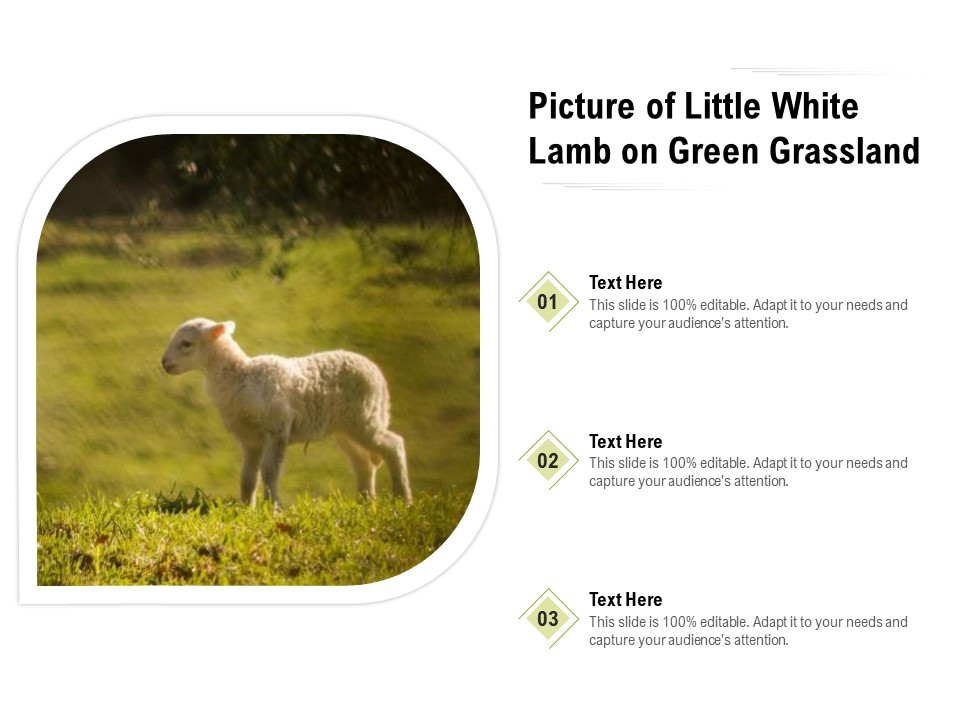 Picture Of Little White Lamb On Green Grassland Ppt PowerPoint Presentation File Layouts PDF