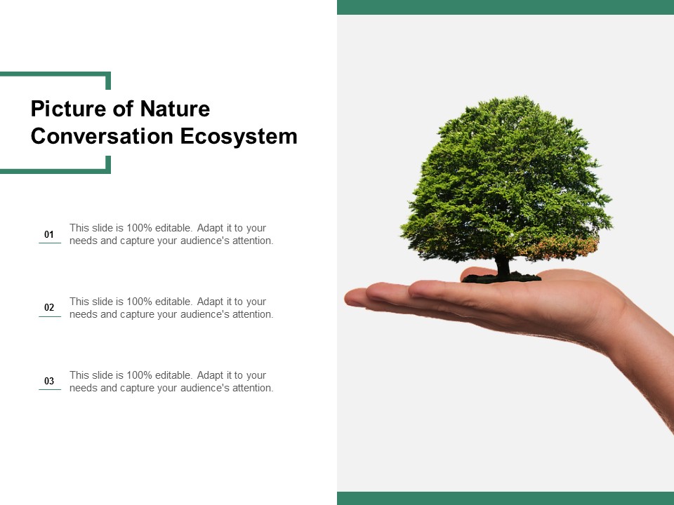 Picture Of Nature Conversation Ecosystem Ppt PowerPoint Presentation Styles Images