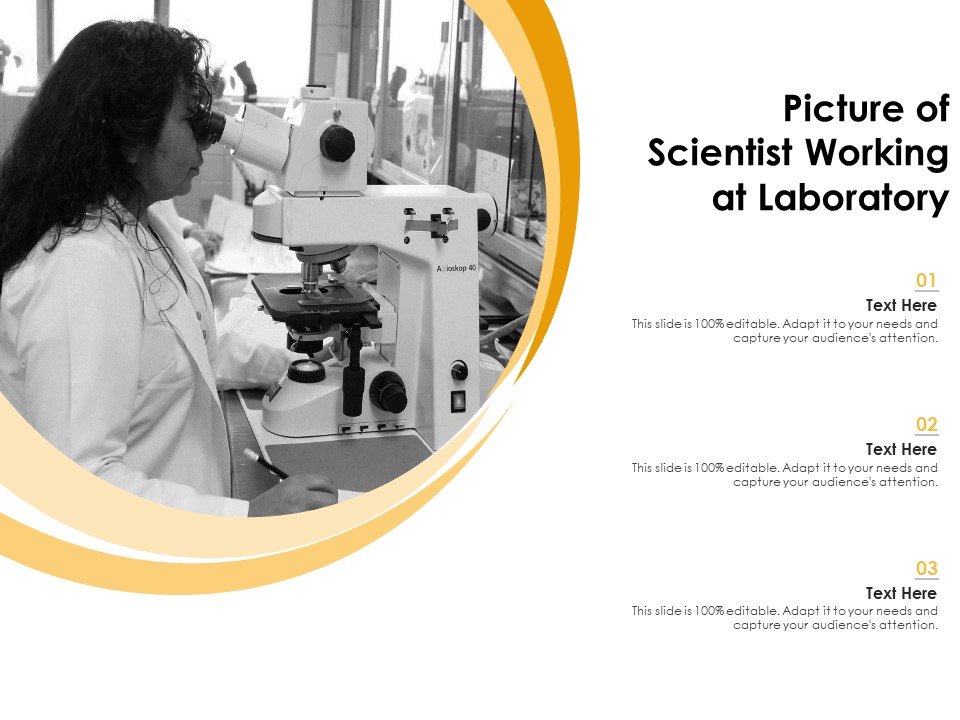Picture Of Scientist Working At Laboratory Ppt PowerPoint Presentation Model Diagrams PDF