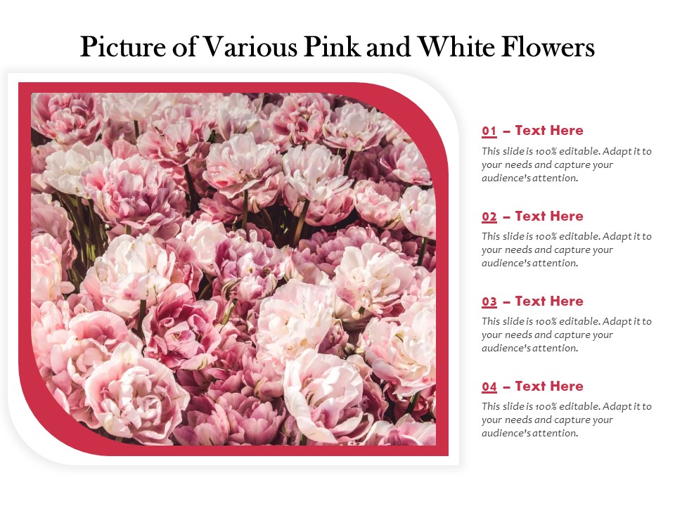 Picture Of Various Pink And White Flowers Ppt PowerPoint Presentation Icon PDF