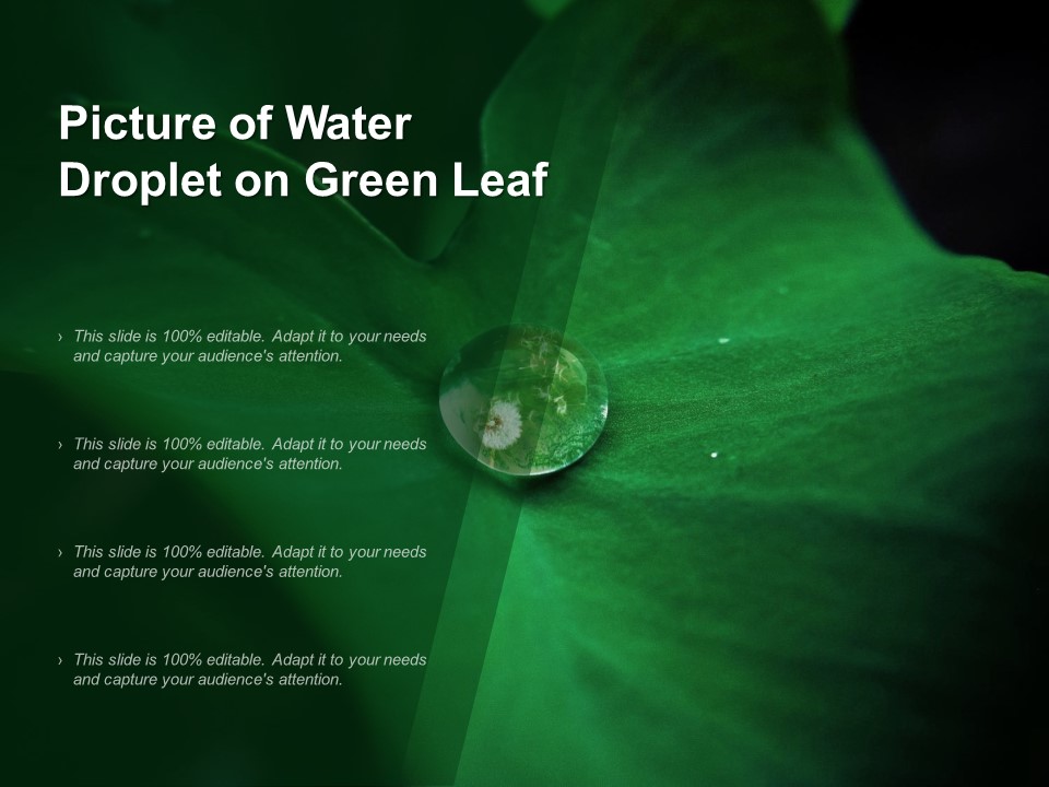 Picture Of Water Droplet On Green Leaf Ppt PowerPoint Presentation Layouts Slide