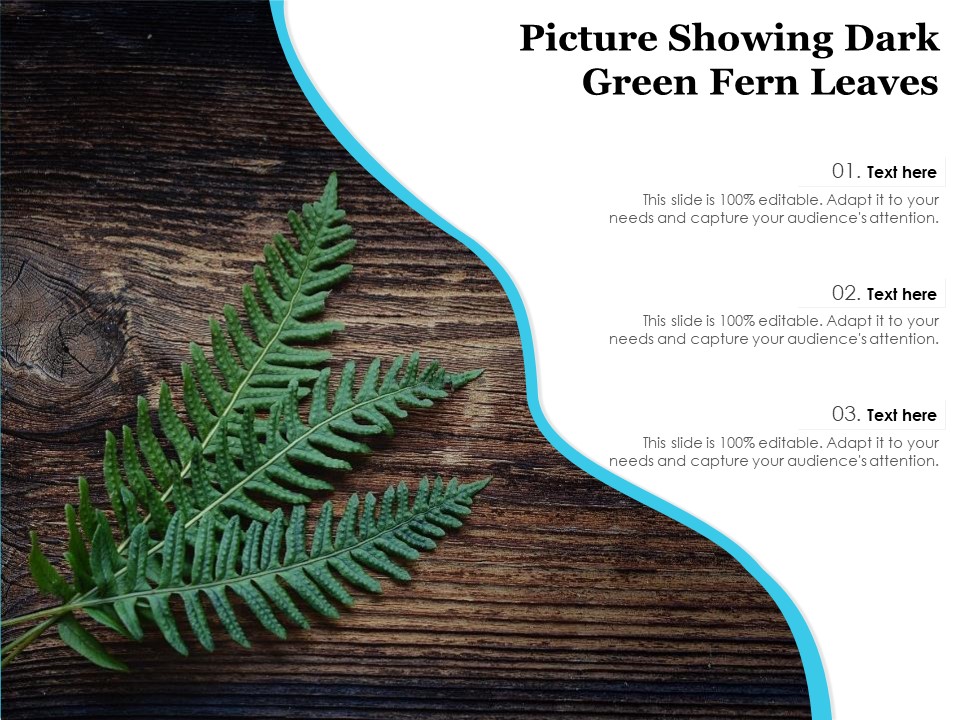 Picture Showing Dark Green Fern Leaves Ppt PowerPoint Presentation Slides Infographic Template PDF