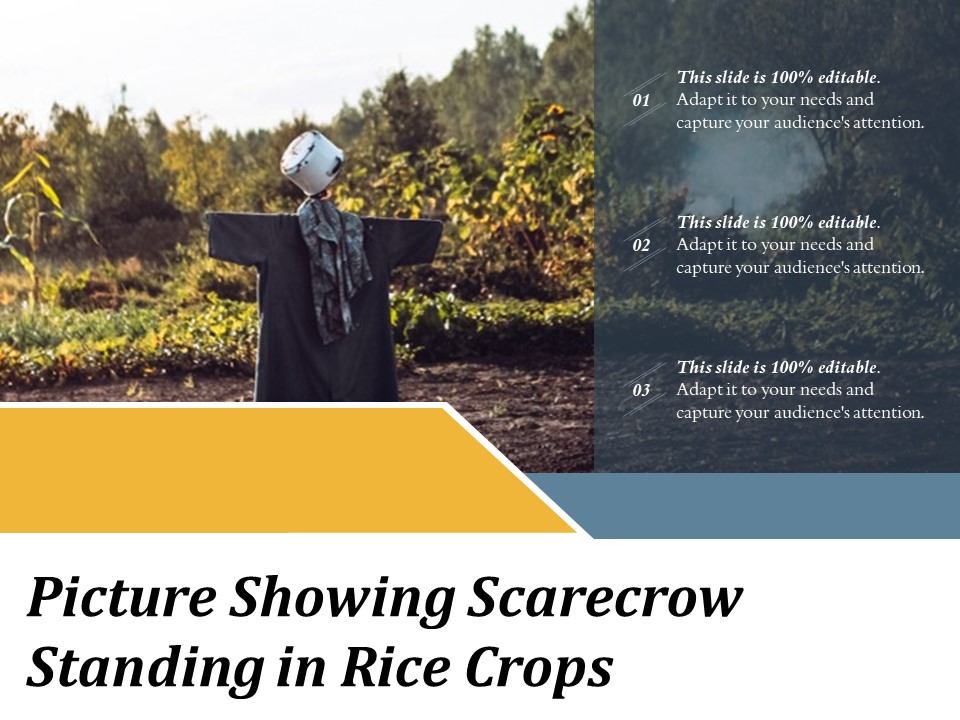 Picture Showing Scarecrow Standing In Rice Crops Ppt PowerPoint Presentation Show Icon PDF