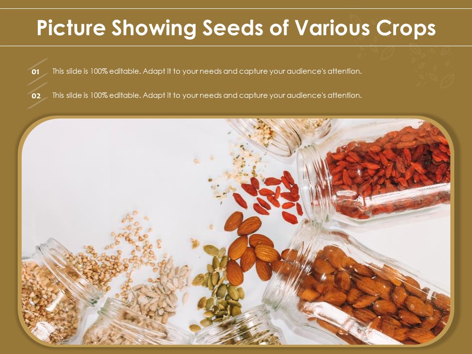 Picture Showing Seeds Of Various Crops Ppt PowerPoint Presentation Show Format Ideas PDF