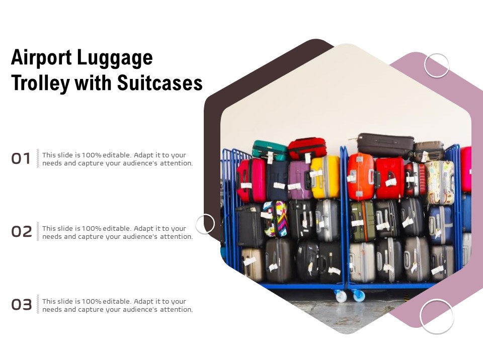Picture Showing Travel Bags On Airport Luggage Rolley Ppt PowerPoint Presentation File Format Ideas PDF