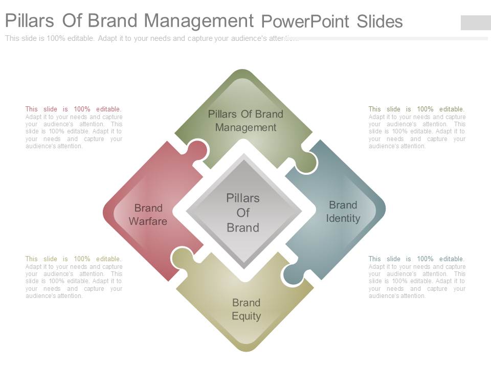 Pillars Of Brand Management Powerpoint Slides