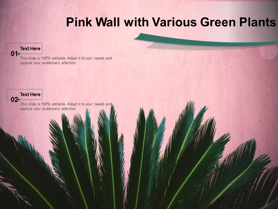 Pink Wall With Various Green Plants Ppt PowerPoint Presentation Styles Graphic Tips PDF
