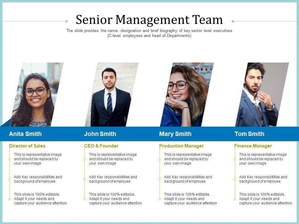 Pitch Deck For Short Term Debt Financing Senior Management Team Guidelines PDF