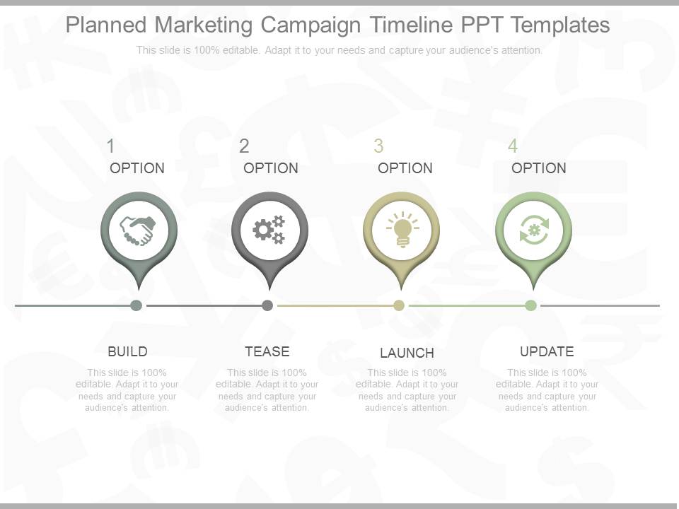 Planned Marketing Campaign Timeline Ppt Templates