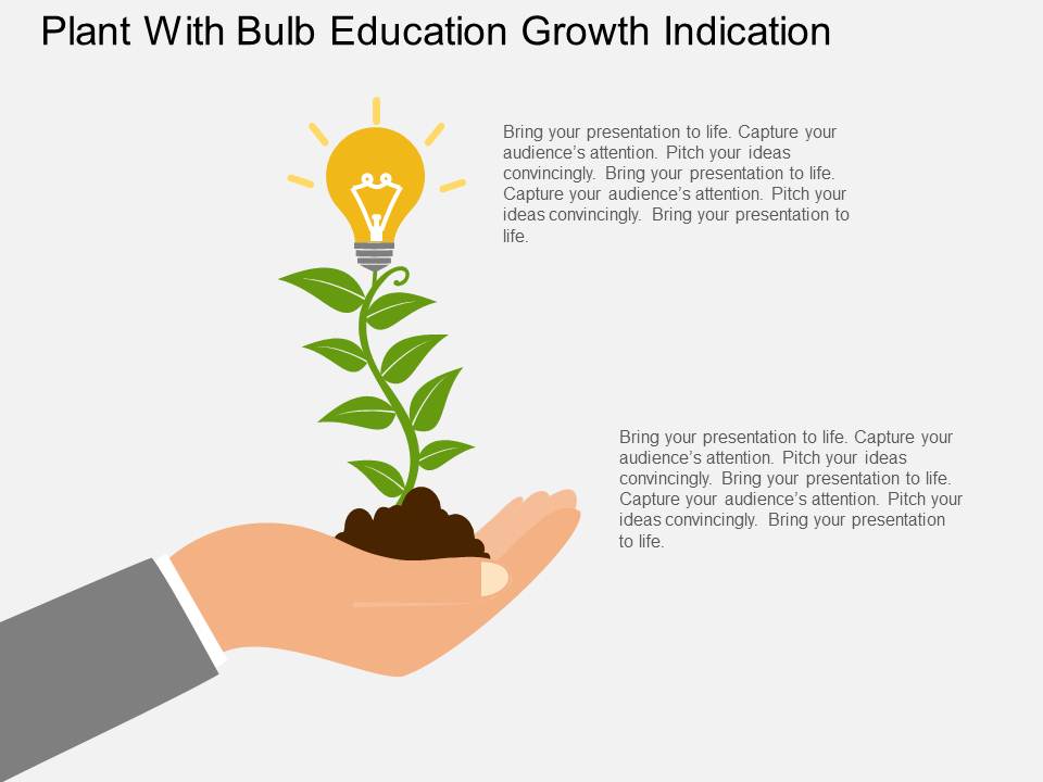 Plant With Bulb Education Growth Indication Powerpoint Template