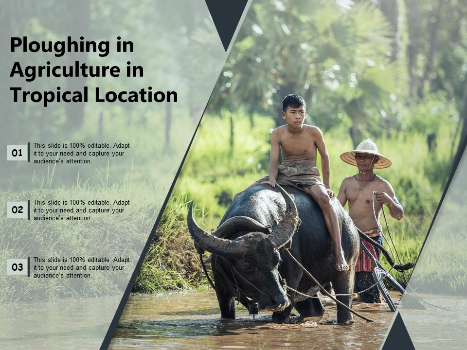 Ploughing In Agriculture In Tropical Location Ppt PowerPoint Presentation File Elements PDF