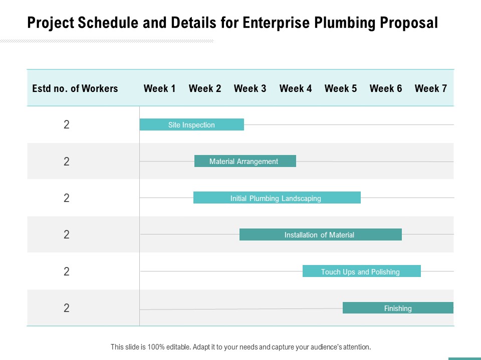 Plumbing Sanitary Works Project Schedule And Details For Enterprise Plumbing Proposal Background PDF