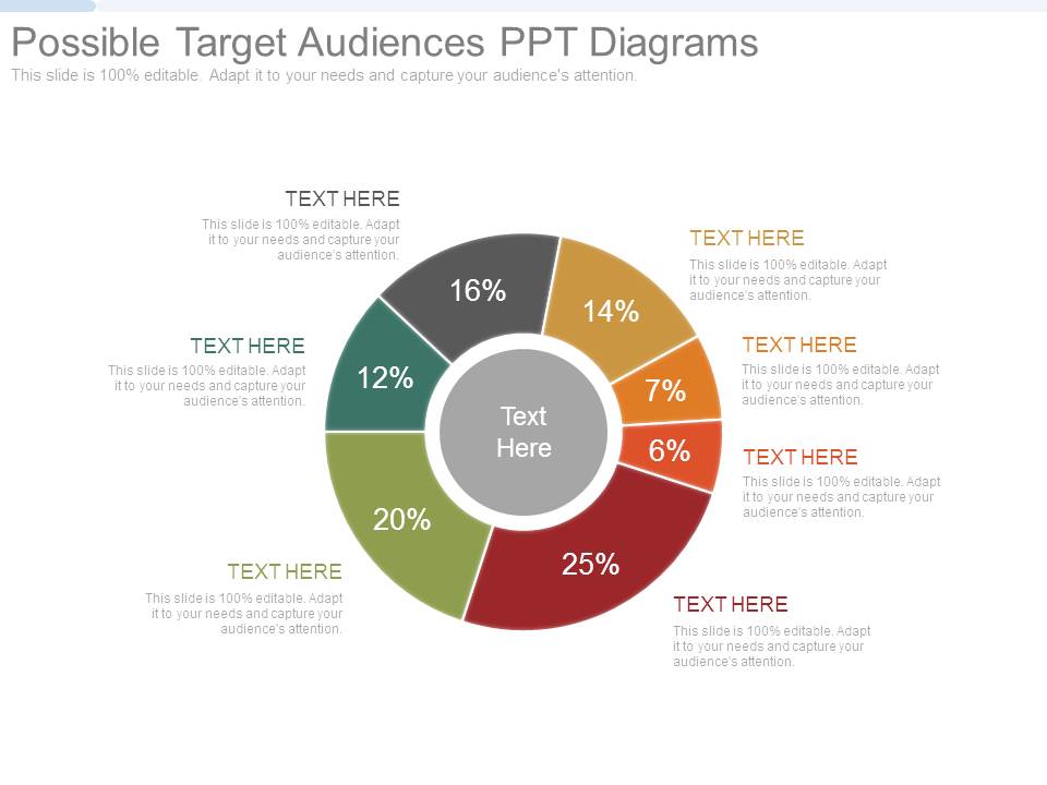 Possible Target Audiences Ppt Diagrams