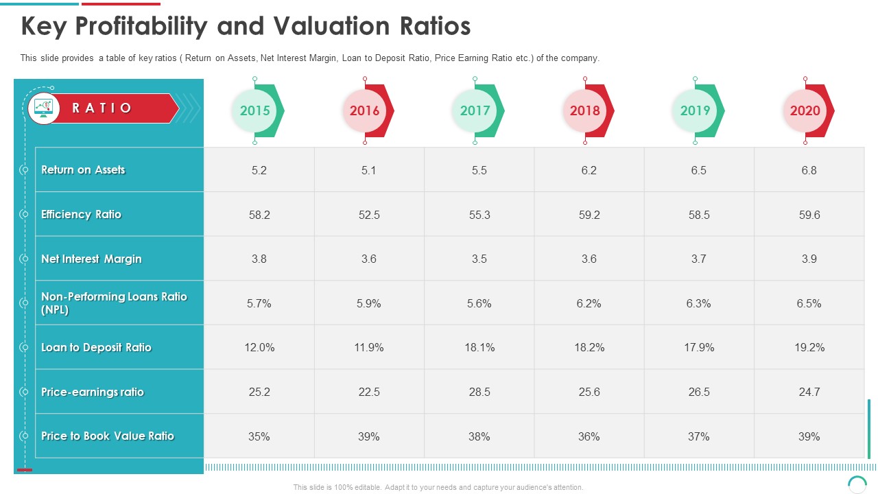 Post Initial Public Offering Equity Financing Pitch Key Profitability And Valuation Ratios Professional PDF