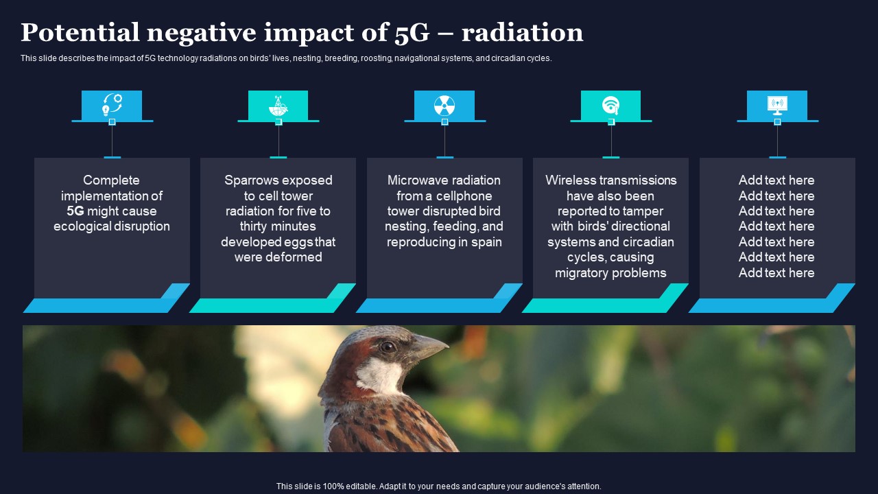 Potential Negative Impact Of 5G Radiation Difference Between 4G And 5G Network Structure PDF