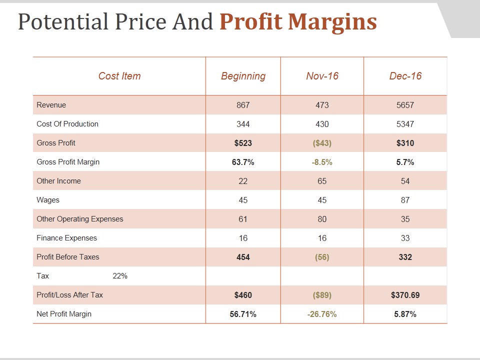 Potential Price And Profit Margins Ppt PowerPoint Presentation Design Templates