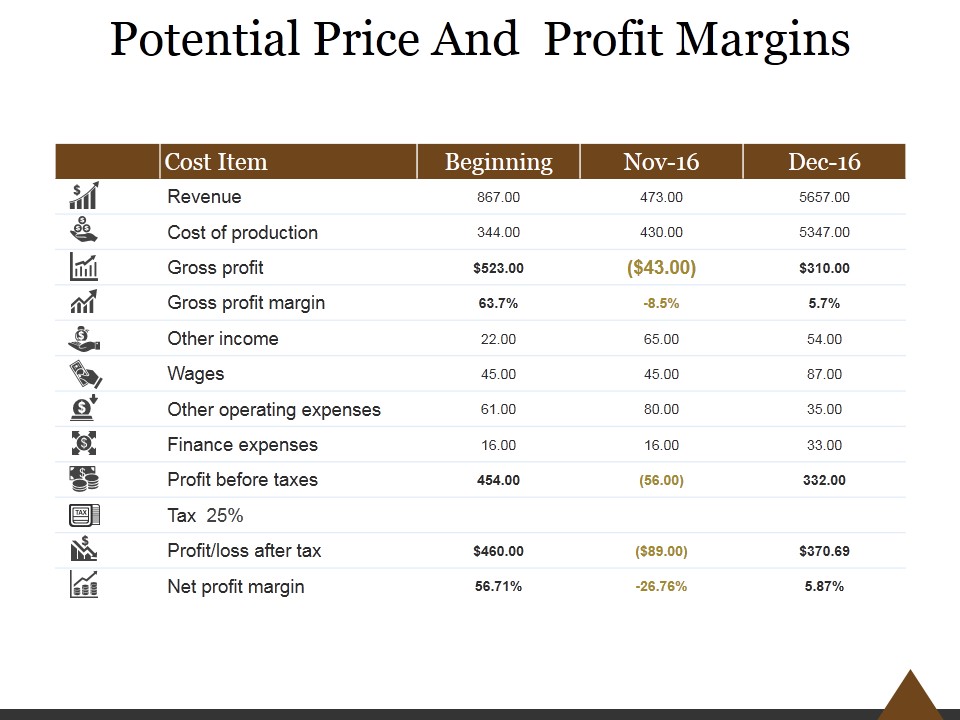 Potential Price And Profit Margins Ppt PowerPoint Presentation Infographics