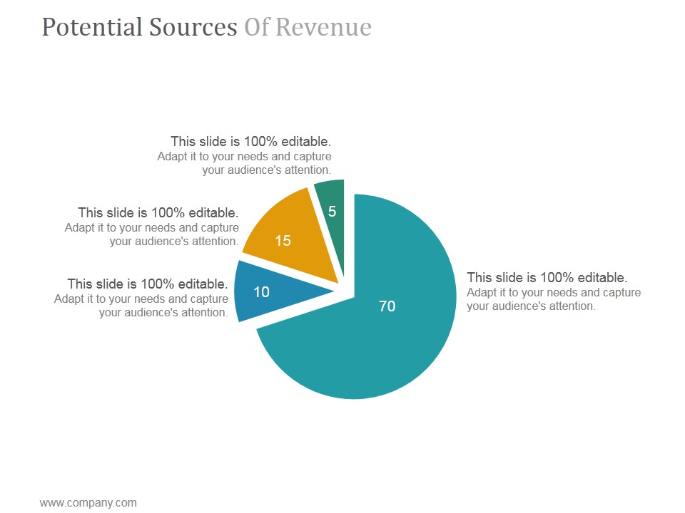 Potential Sources Of Revenue Ppt PowerPoint Presentation Sample