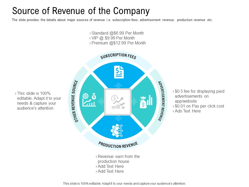 Pre Seed Funding Pitch Deck Source Of Revenue Of The Company Ppt Icon Guide PDF