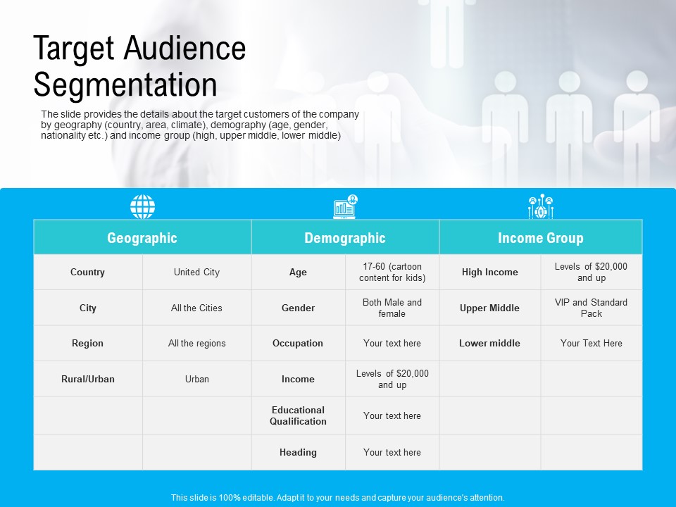 Pre Seed Funding Pitch Deck Target Audience Segmentation Ppt Infographic Template Ideas PDF