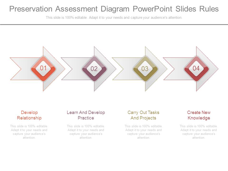 Preservation Assessment Diagram Powerpoint Slides Rules