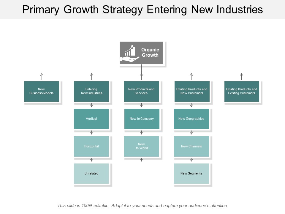 Primary Growth Strategy Entering New Industries Ppt Powerpoint Presentation Summary Example
