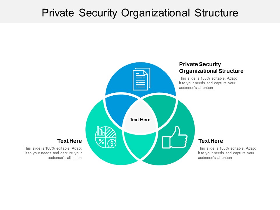 Private Security Organizational Structure Ppt PowerPoint Presentation Outline Layout Cpb