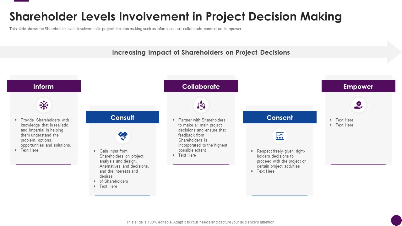 Procedure To Identify The Shareholder Value Shareholder Levels Involvement In Project Decision Making Elements PDF