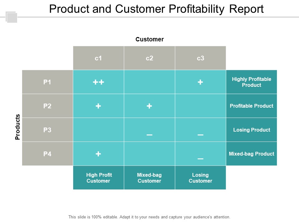Product And Customer Profitability Report Ppt PowerPoint Presentation Portfolio Picture