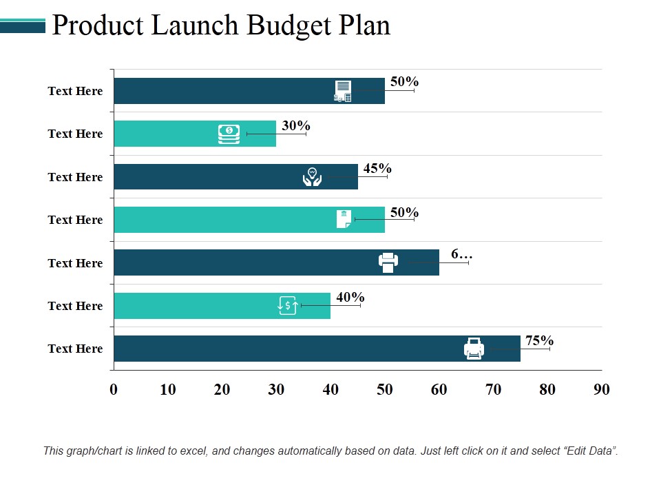 Product Launch Budget Plan Ppt PowerPoint Presentation Professional Rules