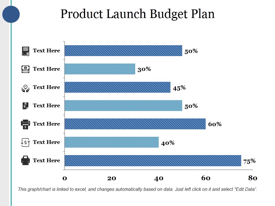 Product Launch Budget Plan Ppt PowerPoint Presentation Professional Templates