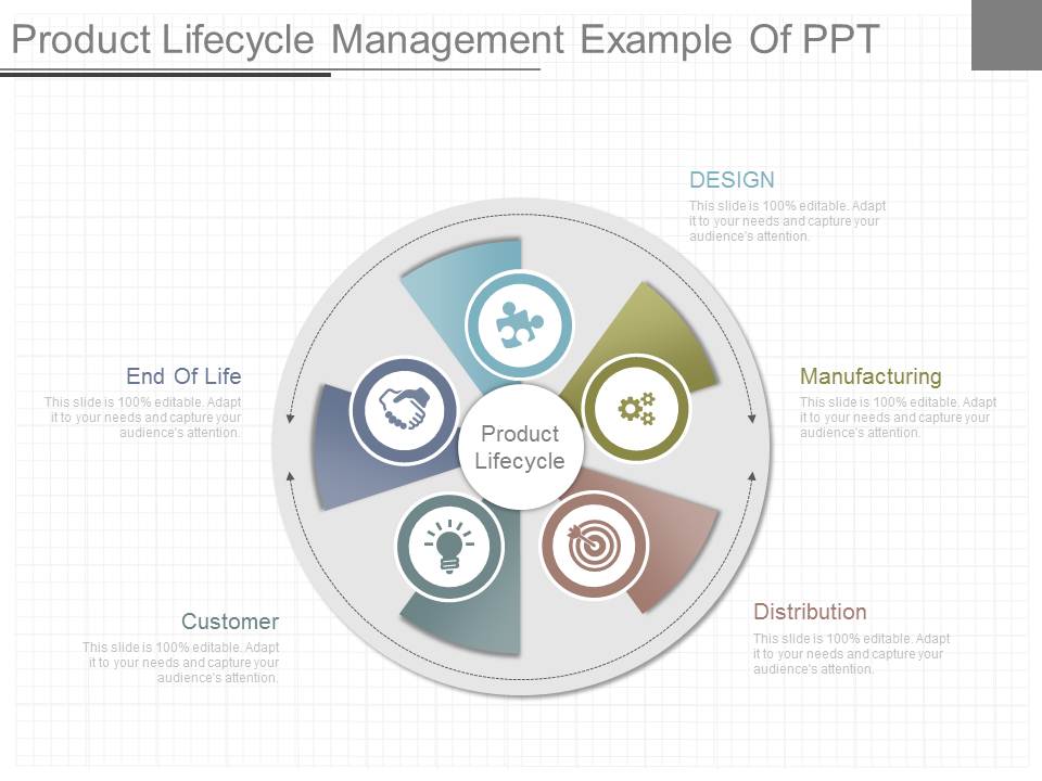 Product Lifecycle Management Example Of Ppt