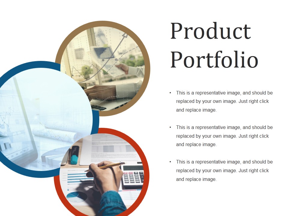 Product Portfolio Template 1 Ppt PowerPoint Presentation File Graphics Design