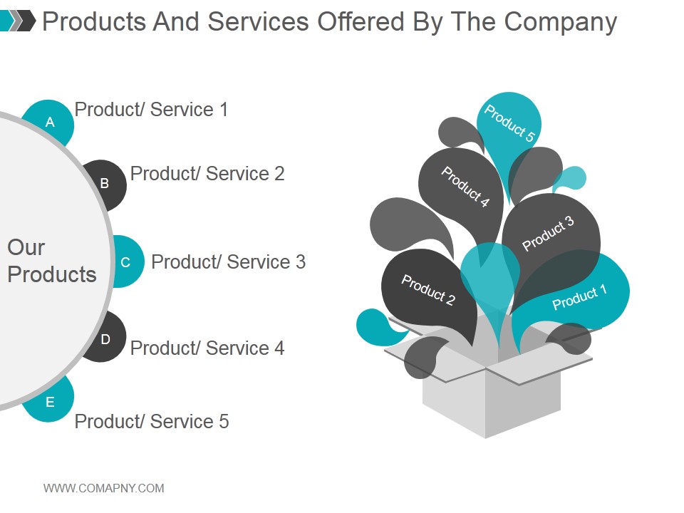 Products And Services Offered By The Company Ppt PowerPoint Presentation Portfolio