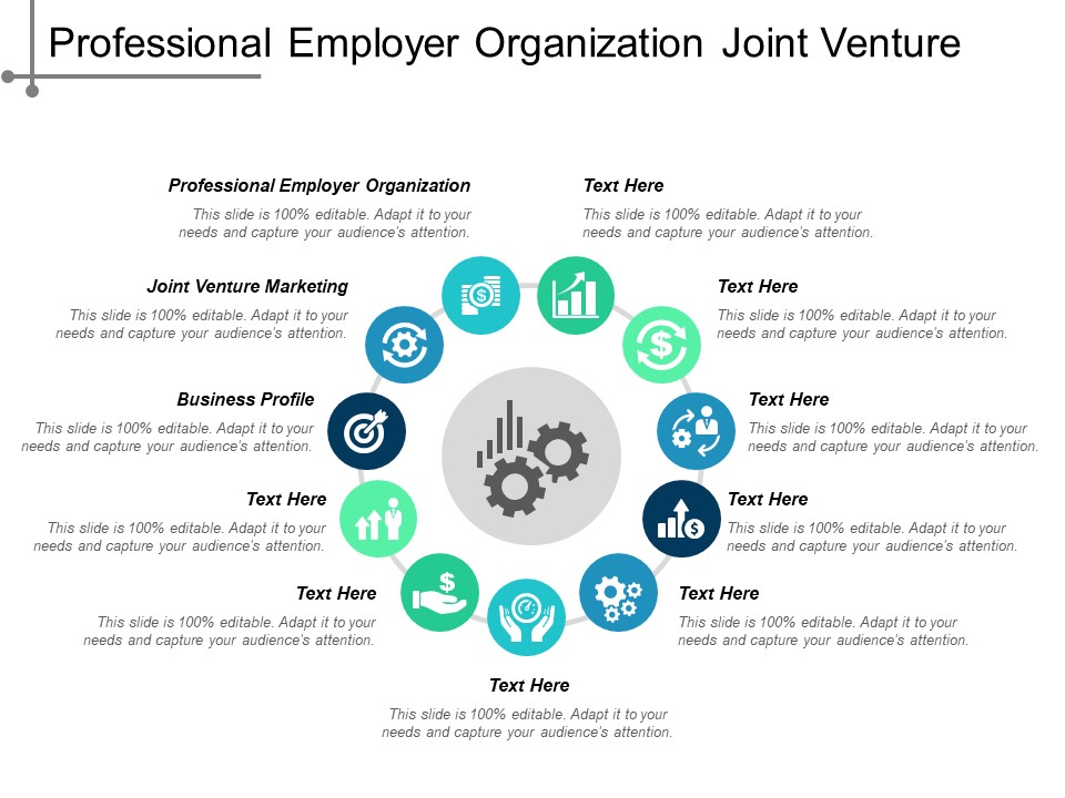 Professional Employer Organization Joint Venture Marketing Business Profile Ppt PowerPoint Presentation Inspiration Example Introduction
