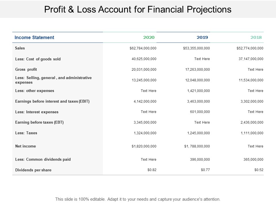 Profit And Loss Account For Financial Projections Ppt PowerPoint Presentation Portfolio Structure