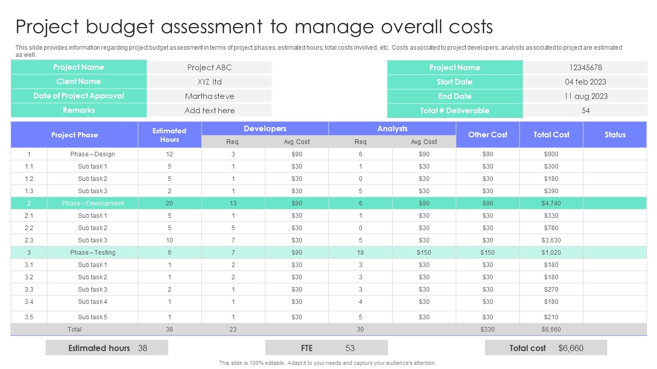 Project Budget Assessment To Manage Overall Costs Project Administration Plan Playbook Summary PDF