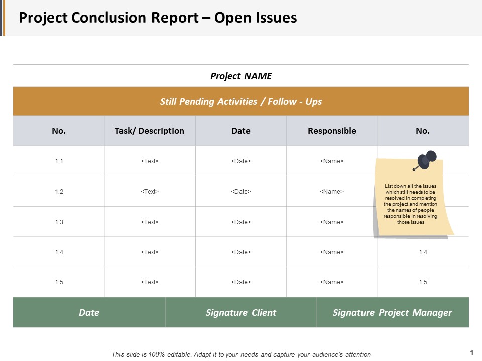 Project Conclusion Report Open Issues Ppt PowerPoint Presentation Layouts Slide Download