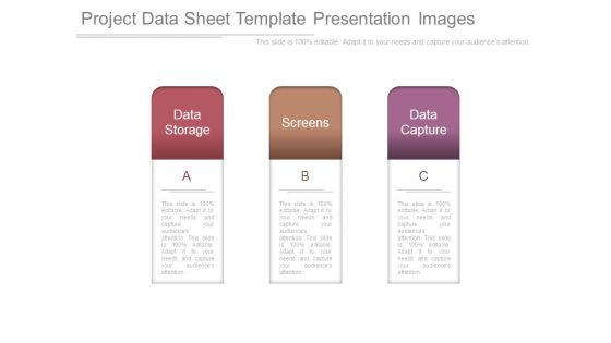 Project Data Sheet Template Presentation Images